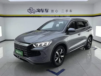2024 BYD Song Pro New Energy Glory Edition DM-i 71KM Pilot, фото 1, лот 10675512