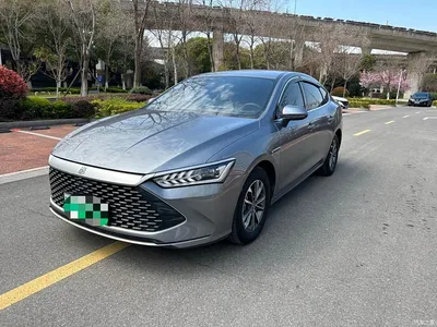 2024 BYD Qin PLUS Glory Edition DM-i 55KM Leading, фото 1, лот 10362980