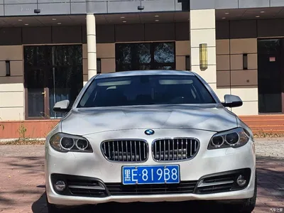 2017 BMW 5 Series 520Li Classic Edition, фото 3, лот 11248137