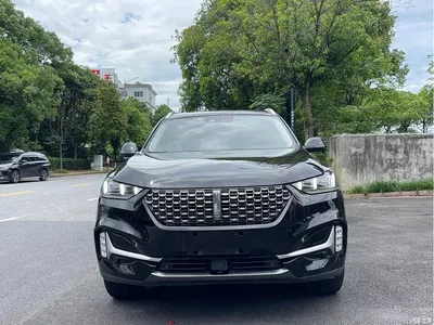 2020 WEY VV6 2.0T 2WD Smart Protection+, фото 2, лот 10482433