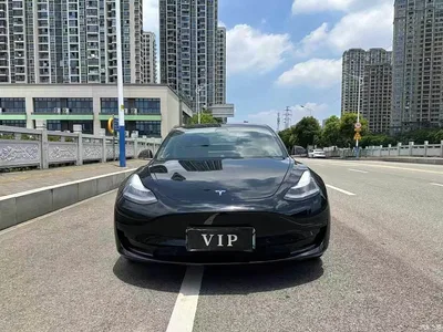 2020 Tesla Model 3 Standard Range Rear-Wheel Drive Upgrade, фото 1, лот 10360875