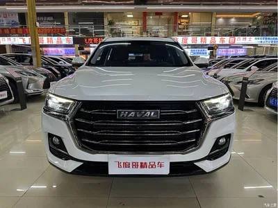 2021 Haval H6 Model National Trend Edition 1.5T Auto Champion, фото 2, лот 10300122