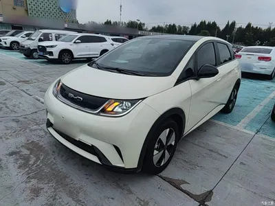 2023 BYD Dolphin 420km Fashion Edition, фото 1, лот 10768926