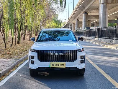 2024 Chery Explore 06 C-DM Luxury, фото 2, лот 10958076