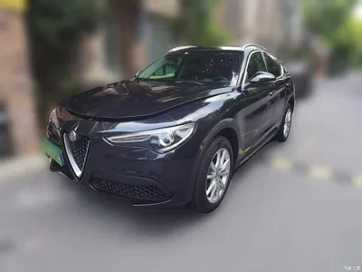 2017 Alfa Romeo Stelvio 2.0T 200HP Luxury Edition, фото 2, лот 10240263