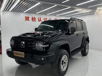 2023 Tank 300 Off-Road Edition 2.0T Conqueror, фото 1, лот 11224220