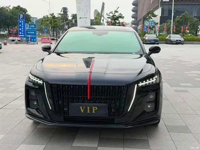 2025 Hongqi H5 2.0T Automatic Mystic Shadow, фото 2, лот 11087482