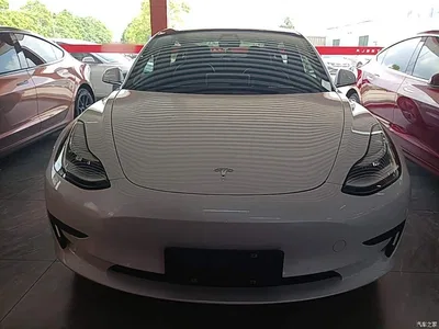 2019 Tesla Model 3 (Import) Standard Range RWD Upgraded Edition, фото 3, лот 10369907