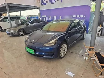 2020 Tesla Model 3 Standard Range Rear-Wheel Drive Upgrade, фото 2, лот 10369431