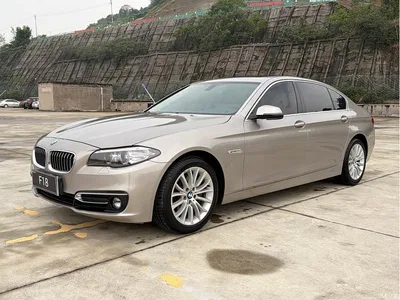 2014 BMW 5 Series 525Li Luxury Design Package, фото 1, лот 11397703