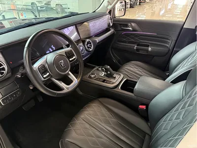 2023 Tank 300 Off-Road Edition 2.0T Challenger, фото 4, лот 11081767