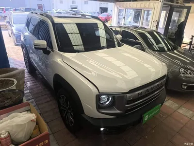 2024 Haval Big Dog 1.5T DCT Border Collie Edition, фото 4, лот 10663006