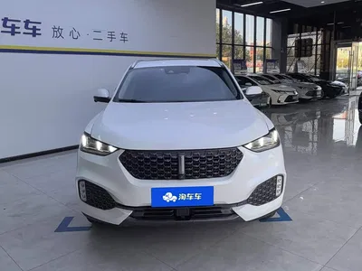 2020 WEY VV6 2.0T 2WD Smart Enjoy+, фото 2, лот 10404732