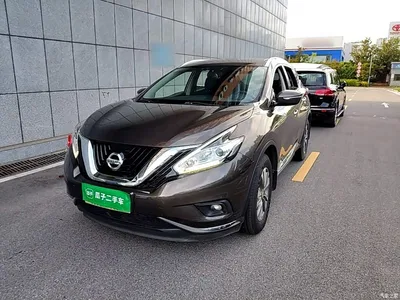 2019 Nissan Murano 2.5L XE 2WD Elite Edition (China VI), фото 1, лот 10347230