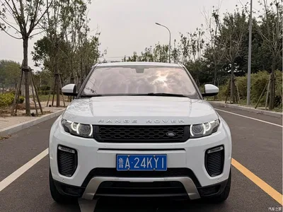 2016 Land Rover Range Rover Evoque 2.0T SE ZhiYao, фото 2, лот 10446403
