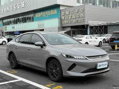 2026 BYD Qin PLUS EV Smart Drive Edition 510KM Progressive, фото 3, лот 10364205