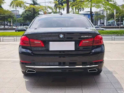 2019 BMW 5 Series 530Li Leading Luxury Package, фото 3, лот 10445976