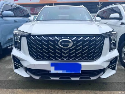 2022 GAC Trumpchi Trumpchi GS8 Pilot Series 2.0TGDI AWD Ultimate Edition (7-Seater), фото 2, лот 10419781