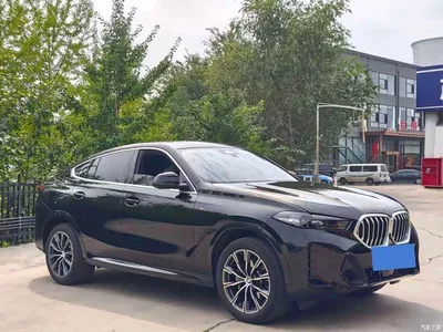 2023 BMW X6 xDrive30i M Sport Package, фото 3, лот 10928938