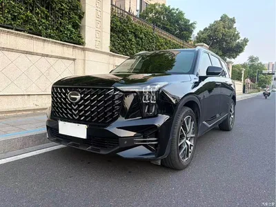 2022 GAC Trumpchi Trumpchi GS8 Pilot Series 2.0TGDI 2WD Luxury Smart Connect Edition (7-Seater), фото 1, лот 10416835