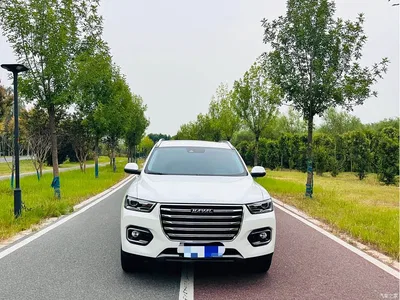 2020 Haval H6 1.5GDIT Automatic Platinum Ultra Luxury Edition, фото 2, лот 10766387