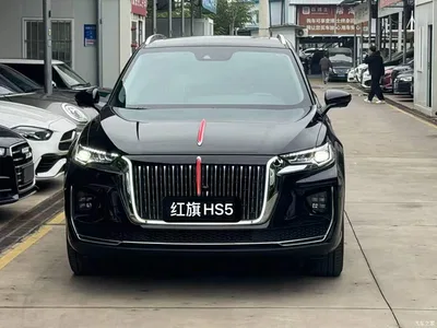 2022 Hongqi HS5 2.0T Smart Connect Flagship AWD Edition, фото 2, лот 10404178