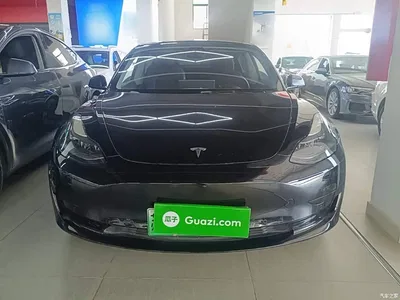 2022 Tesla Model 3 Model Rear-Wheel Drive Version, фото 3, лот 11583543
