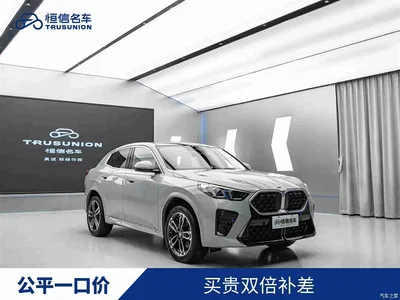 2024 BMW X2 (Import) sDrive25i M Sport Package, фото 1, лот 10475577