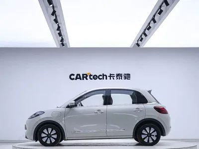 2023 Wuling Motors Wuling Bingo 333km Joyful Version, фото 2, лот 10767721