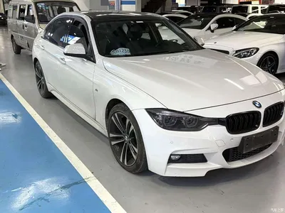2019 BMW 3 Series 320Li M Sport Package, фото 3, лот 11461751
