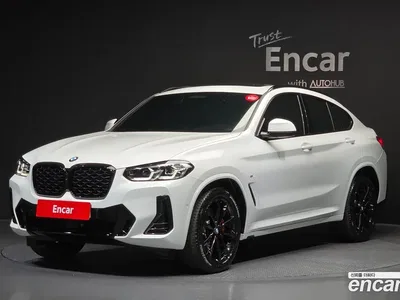 2025 BMW X4 xDrive20i M Sport Pro Special Edition, фото 1, лот 10134991