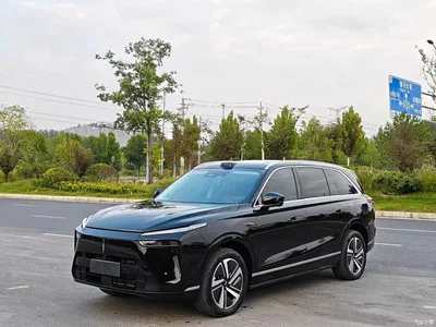 2025 WEY Lanshan AWD Max, фото 1, лот 10693871