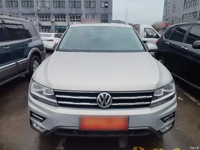 2019 Volkswagen Tiguan L Facelift 330TSI Auto 2WD Smart Luxury China VI, фото 3, лот 10463090