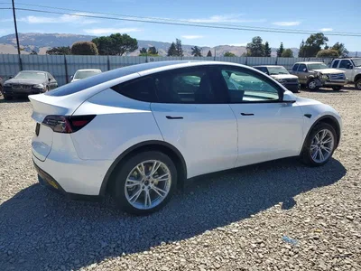 2022 TESLA MODEL Y, фото 3, лот 10851296