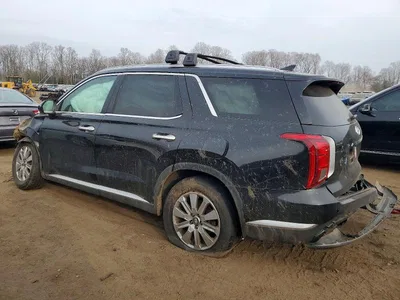 2023 HYUNDAI PALISADE SEL, фото 2, лот 10657414