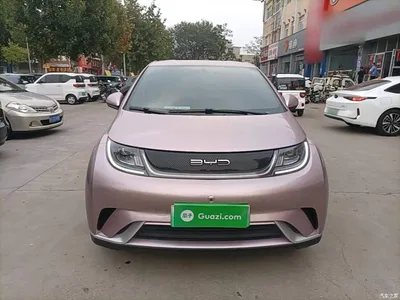 2023 BYD Dolphin 420km Freedom Edition, фото 3, лот 11196200