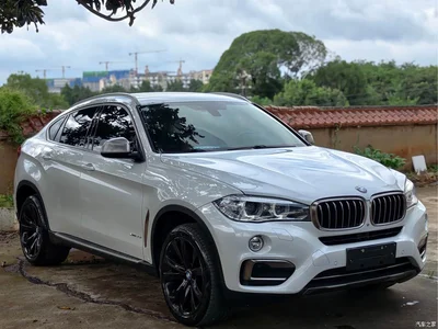 2015 BMW X6 xDrive35i Luxury Model, фото 3, лот 10421879