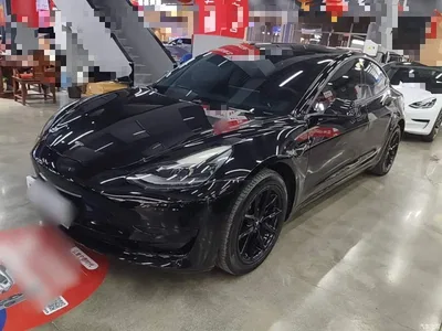 2022 Tesla Model 3 Model Rear-Wheel Drive Version, фото 2, лот 10606979