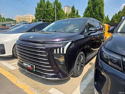 2024 Dongfeng Starlight V9 1.5TD 200km Cloud Ladder Series Premium, фото 1, лот 11161074