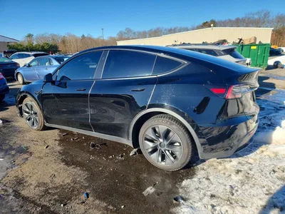 2023 TESLA MODEL Y, фото 2, лот 10850824
