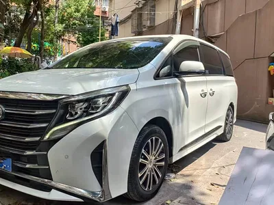 2021 GAC Trumpchi Trumpchi M8 Leading Show Series 390T Prestige Edition, фото 3, лот 10420095