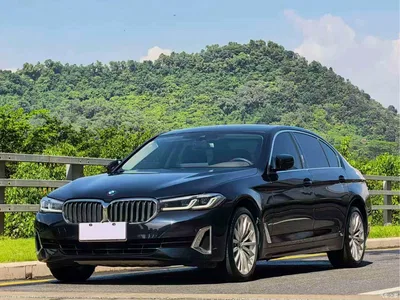 2021 BMW 5 Series 530Li Premium Luxury Package, фото 1, лот 11081369
