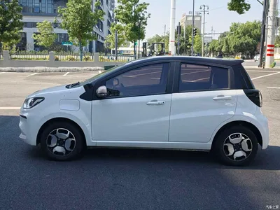 2021 Sehol Flower Fairy 302km Luxury Edition 31.4kWh, фото 3, лот 11568812