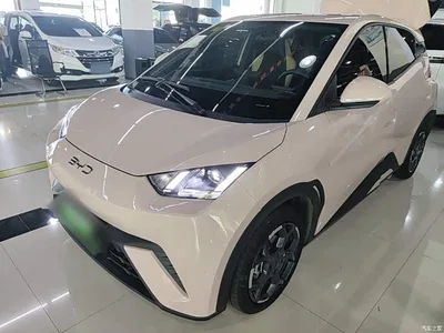 2024 BYD Seagull Glory Edition 305km Freedom Edition, фото 1, лот 10262913