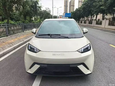 2023 BYD Seagull Flying Edition, фото 2, лот 10257595