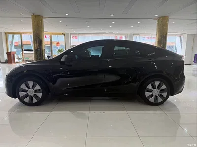 2022 Tesla Model Y Rear-Wheel Drive Version, фото 3, лот 10383963