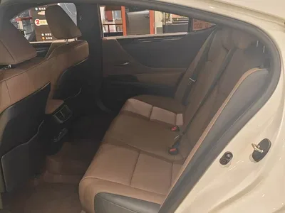 2023 Lexus ES 260 Excellence, фото 4, лот 11206304
