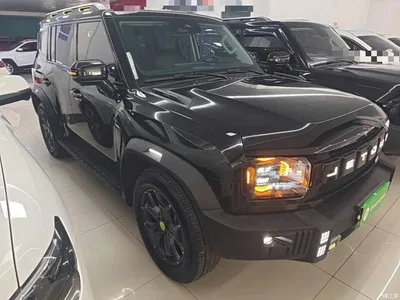 2023 Jetour Traveler Model 2.0T 4WD Cross PRO, фото 4, лот 10433133