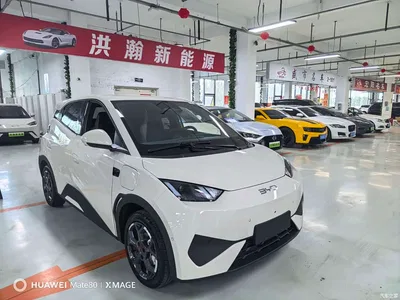 2025 BYD Seagull Smart Drive Edition 305km Freedom Version, фото 3, лот 10257412