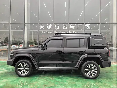 2024 Tank 300 2.0T Explorer, фото 4, лот 10344343